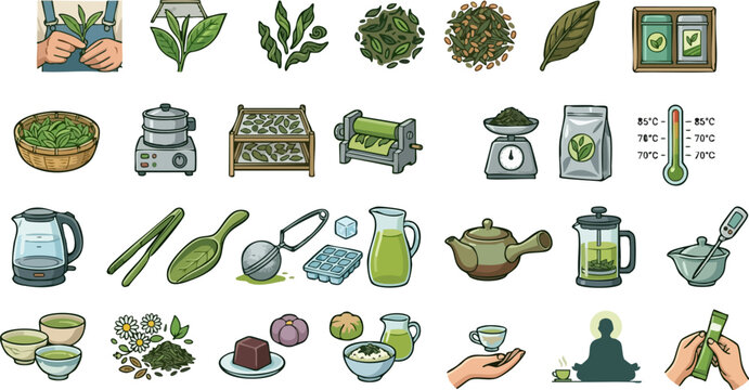 Green tea production and Japanese ceremony vector icons set, sencha and matcha elements