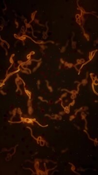 Microscopic view of infectious Ebola Virus cells or virions and red blood cells flowing through the bloodstream. Full HD and looping medical and healthcare concept vertical animation.