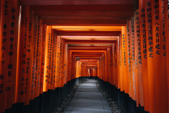 View of the iconic vermilion torii gates at Fushimi Inari-taisha shrine with traditional Japanese inscriptions along a stone path in Kyoto, Kyoto, Japan.