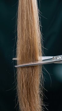 Close-up of cutting light colored damaged and split ends with shiny metal scissors on dark background showing loose strands and hair texture.