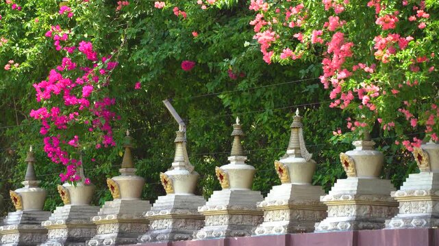 Ornate Buddhist stupas lined along the grounds of Mindrolling Monastery in Dehradun, framed by vibrant pink bougainvillea and lush greenery.