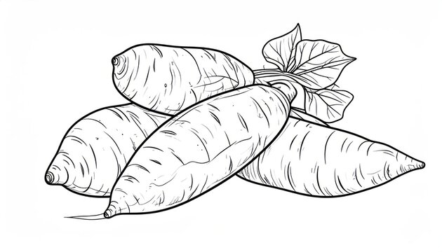Group of sweet potatoes with leaves vintage style sketch
