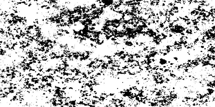 Seamless black and white leopard print background featuring a vintage grunge border with elegant floral ornament illustrations