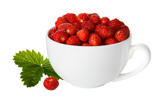 Berry wild strawberry in cup with green leaf and flower. Fruity still life. Healthy eating. Isolated. PNG.