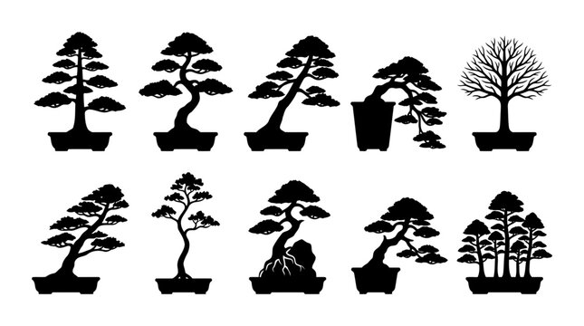 Collection of bonsai tree silhouettes showcasing potted pine bonsai leafless tree miniature forest and sculpted ornamental trees