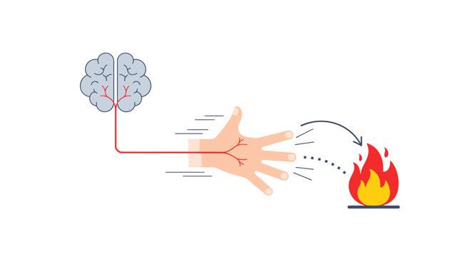 Brain signals hand to withdraw from fire, quick reflex action illustration