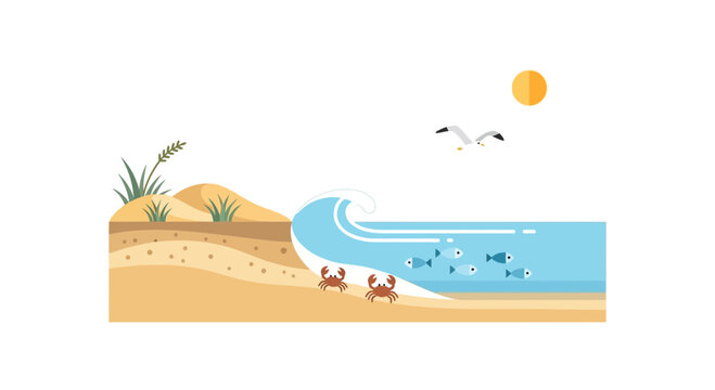 Coastal Ecosystem: Beach, Ocean Waves, Fish, Crabs, Seagull, Sun