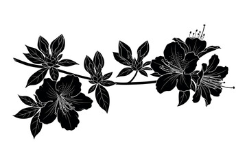 Silhouette of a flowering branch with leaves and blossoms © NusratJahan