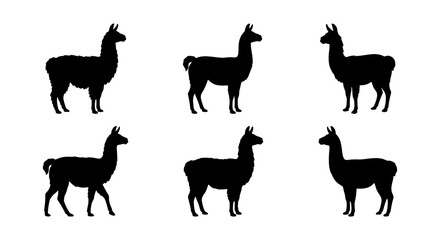 Six Black Llama Silhouettes, Vector Icons Set, South American Camelid Graphics, Minimalist Animal Collection © Rezaul