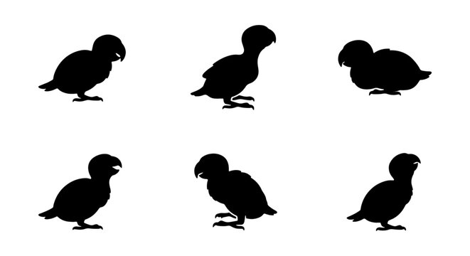 Parrot Silhouettes, Tropical Bird Icons, Exotic Avian Vector Graphics, Cute Animal Poses