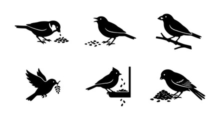 Set of 6 Black Bird Silhouettes, Vector Icons: Feeding, Perching, Flying, Bird Feeder, Nature Elements, Wildlife Graphics © Rezaul