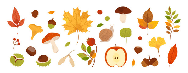 Autumn nature with colorful leaves, acorns, chestnuts, mushrooms and berries. Seasonal forest elements for autumn design and botanical projects. Flat vector illustration. © Nataliia Vyshnytska