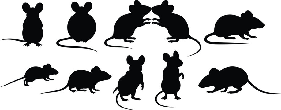 Set of nine black mouse silhouettes in varied poses, standing, sitting, interacting, tails curved, minimalist rodent vector illustration