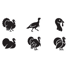 Fototapeta premium Turkey Bird Vector Illustration Isolated on White Background