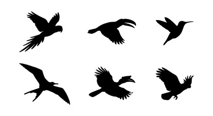 Diverse Bird Silhouettes Collection: Flying Parrot, Toucan, Hummingbird, Condor, Hornbill, Cockatoo Icons © Jesmin