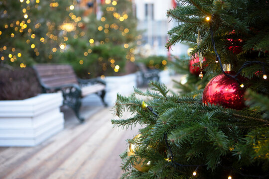 Benches on street. Christmas texture for postcards. Christmas trees on street are decorated with garlands. Trees are out of focus. Bokeh. Place for advertising