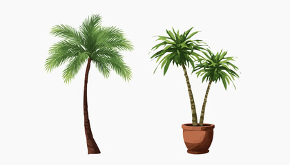 Obraz premium Two palm trees one potted and one standalone