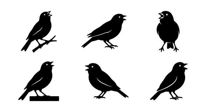 Set of 6 Black Bird Silhouettes, Singing Songbirds Vector Icons, Nature Wildlife Avian Graphics