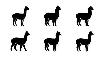 Six Black Silhouette Alpacas, Vector Icons Set, Cute South American Camelid Graphics, Minimalist Farm Animal Collection © Nurul
