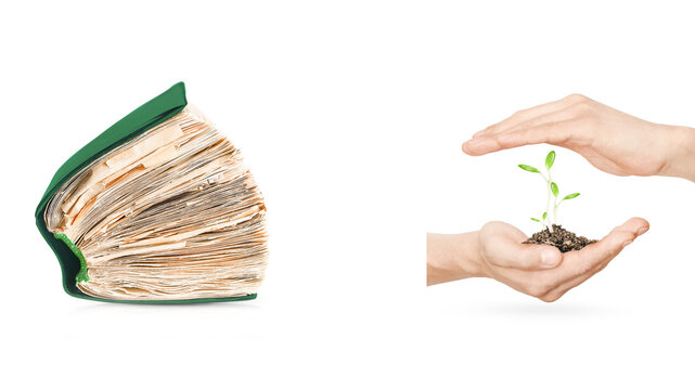 Green book concept with weathered pages and human hands protecting plant sprout, environmental sustainability and ecology education template with copy space.