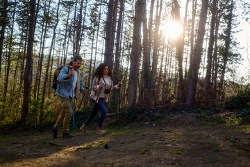 Fototapeta premium Diverse couple enjoying a healthy outdoor lifestyle, walking and exercising on a forest path with trekking poles, exploring nature during a serene sunset