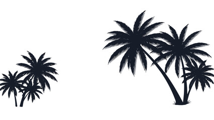 Obraz premium Silhouettes of palm trees against a white background, showcasing tropical foliage and island vibes.