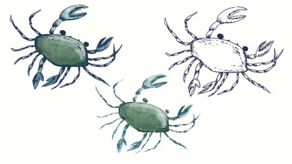Three crabs showing different designs and colors in a simple style on a white background © Олена Пляка