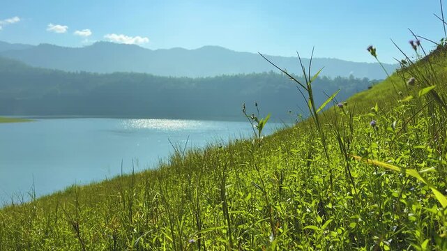 Tall grasses frame a stunning view of a calm lake tucked away among serene mountains