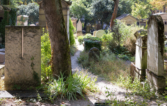 Overgrown path among old graves, P&egrave;re-Lachaise Cemetery, Paris