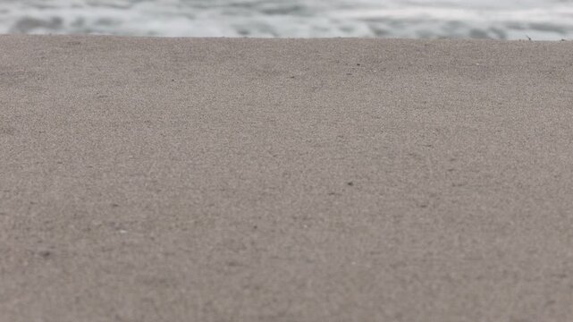 A gloomy sky, a beige sandy beach, and waves rolling onto the shore