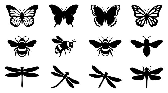 Collection of various insects and butterflies with detailed wings