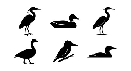 Fototapeta premium Diverse Bird Silhouettes Collection: Elegant Waterfowl, Wading Birds, and Perching Avian Icons