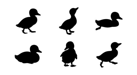 Six Black Duckling Silhouettes, Cute Baby Bird Poses, Simple Vector Graphics for Nature and Wildlife Designs © Mim