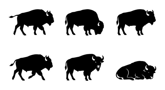 Bison Silhouette Collection, American Buffalo Vector Icons, Wildlife Animal Graphics, Wild Mammal Set, Nature Element Illustrations
