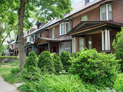 Tree lined street of older brick semi-detached houses