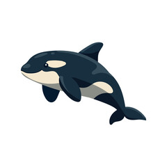 Fototapeta premium Cute orca whale illustration. Friendly killer whale character swimming in ocean. Flat vector illustration isolated on white background.