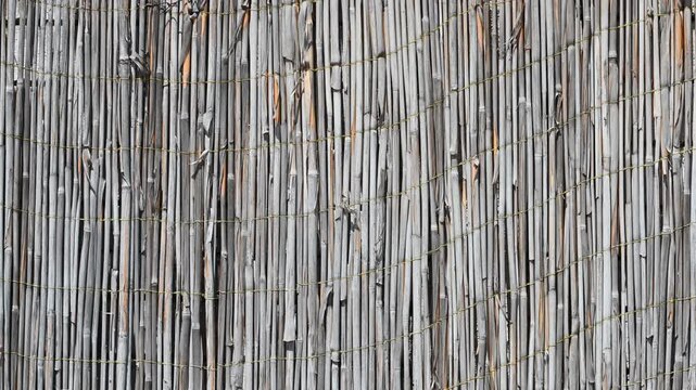 Bamboo reed fence texture background. Natural weathered stalks arranged vertically creating rustic privacy screen pattern for architectural exterior design and organic decor