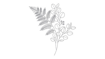 Detailed illustration of a fern branch. © tri