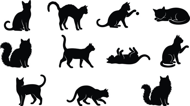 Collection of cat black silhouettes set in various poses sitting walking playing sleeping and stretching isolated on white background