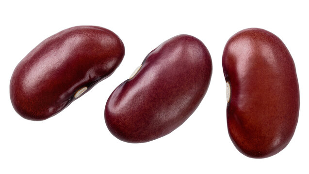 Isolated three red kidney beans, healthy food ingredients, raw dry legumes for cooking