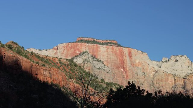 Dawn light on the rocky bluffs and windblown trees of Zion National Park in southern Utah