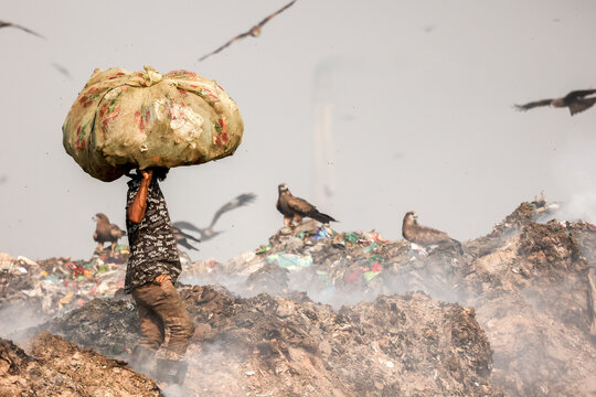 Aminbazar, Bangladesh - 21 February 2026: View of a waste picker carrying a large sack on his head amidst mounds of garbage and scavenging birds at the Aminbazar landfill.