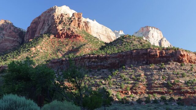 Dawn light on the rocky bluffs and windblown trees of Zion National Park in southern Utah
