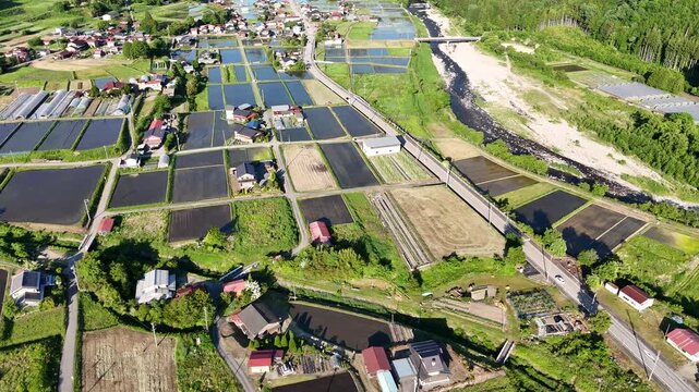 Aerial view of vibrant rural farmland with neat rows and ponds. Sunlit fields stretch across the landscape, divided by narrow paths. Simple houses dot the scenery, nestled among greenery