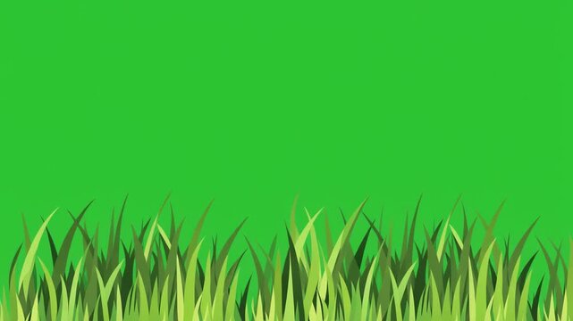 Illustration of green grass blades isolated on a vibrant green chroma key background.
