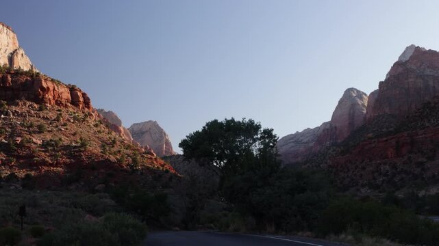 Dawn light on the rocky bluffs and windblown trees of Zion National Park in southern Utah