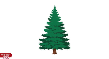 Obraz premium A large green pine tree standing.