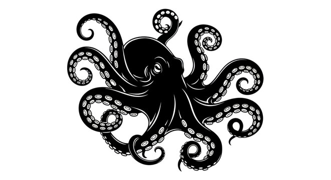 Black octopus with curled tentacles illustration.