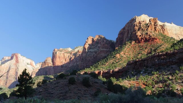 Dawn light on the rocky bluffs and windblown trees of Zion National Park in southern Utah