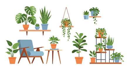 Obraz premium Variety of Potted Houseplants on Shelves.